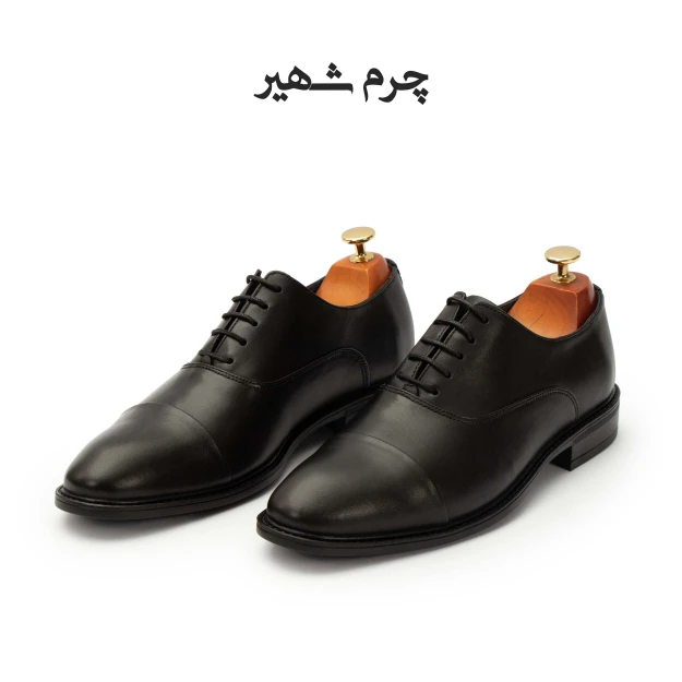 کفش مردانه چرم مدل برت ساده رابر
